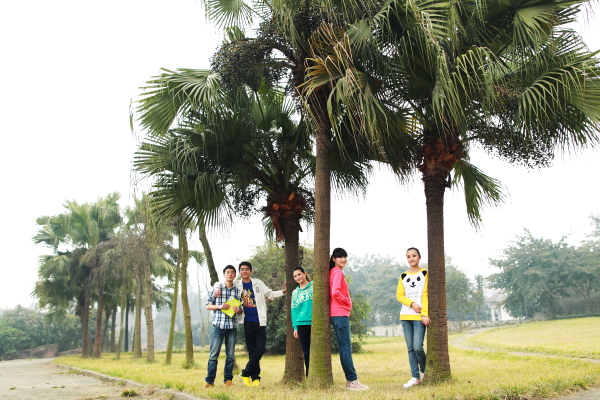 校园风景-成都纺织高等专科学校