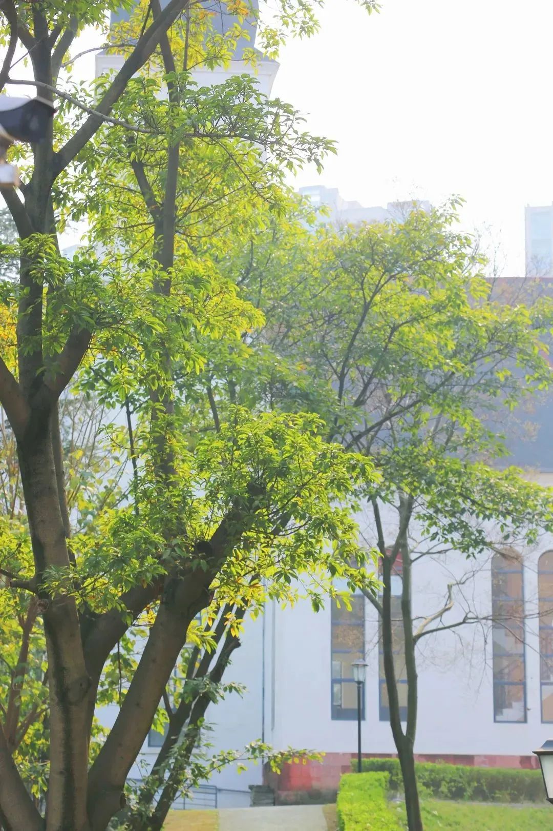 四川日报专刊报道！位于成都市的这所公办“双高”院校硬核有实力