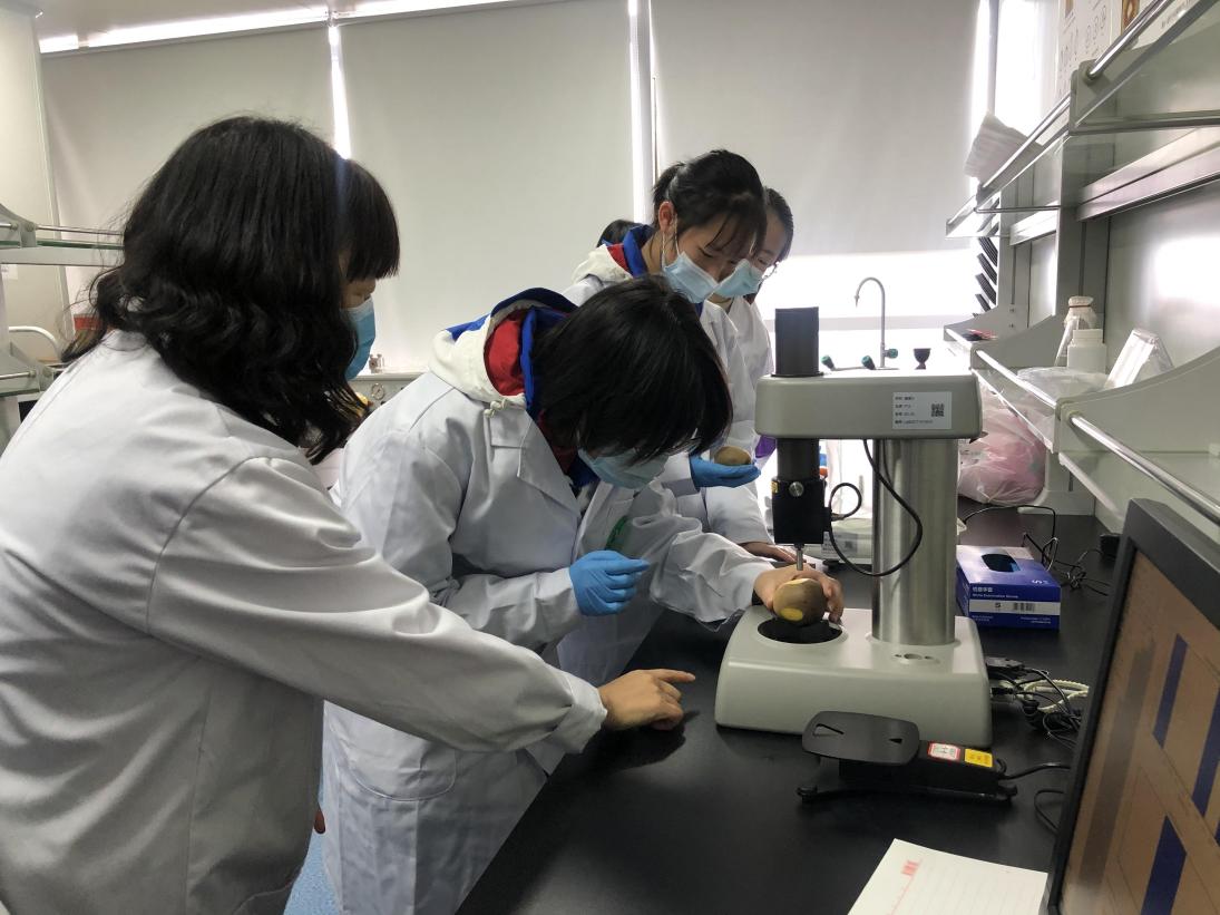 中国—新西兰猕猴桃“一带一路”联合实验室。四川省自然资源科学研究院供图