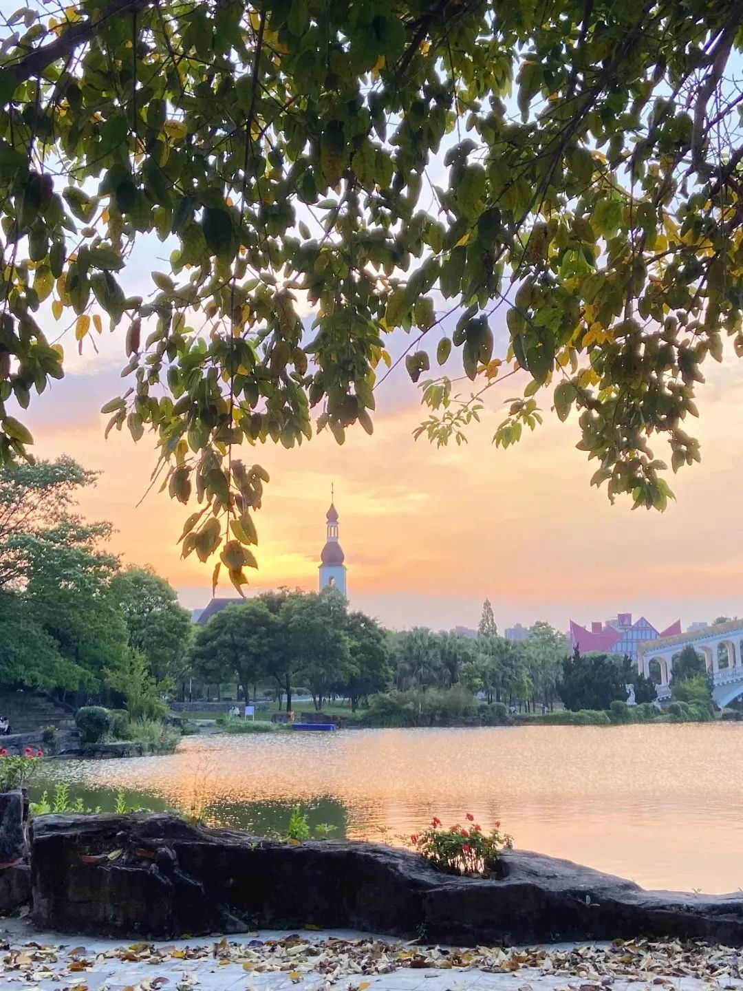 四川日报专刊报道！位于成都市的这所公办“双高”院校硬核有实力