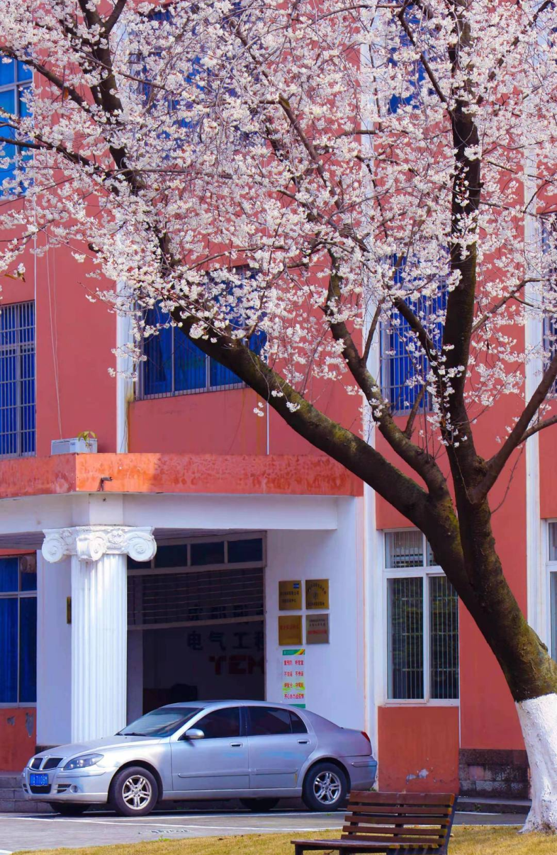 四川日报专刊报道！位于成都市的这所公办“双高”院校硬核有实力