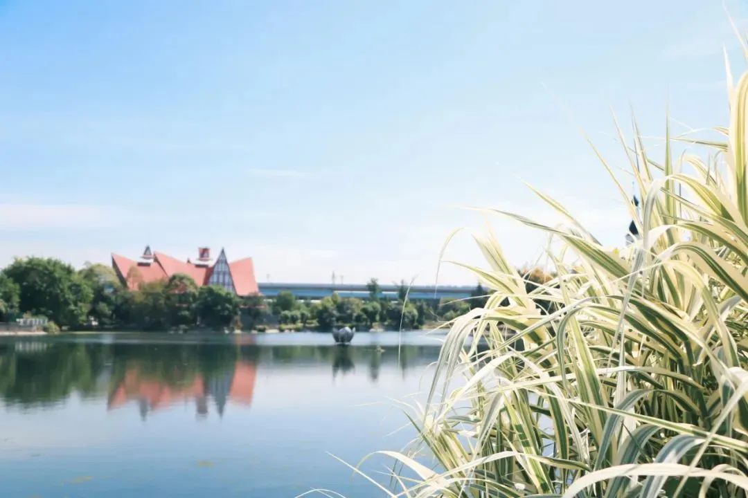 四川日报专刊报道！位于成都市的这所公办“双高”院校硬核有实力